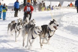 Lenk 2012 SM